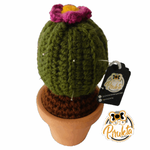 Cactus Castuceo